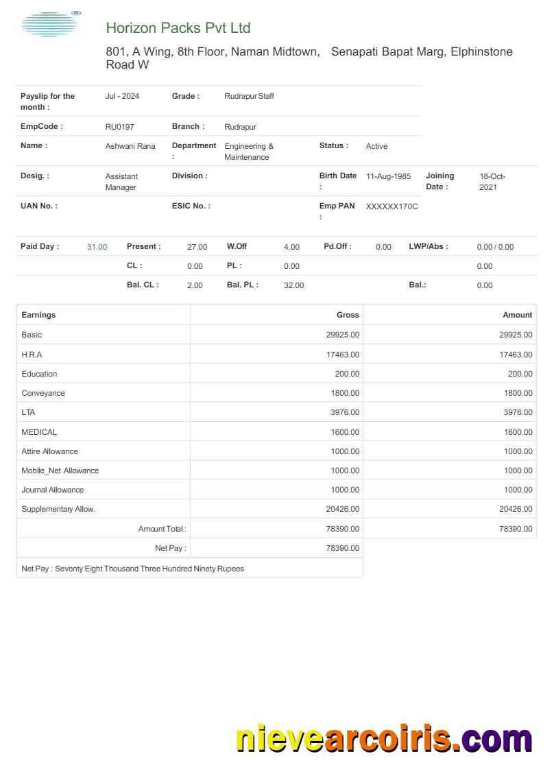 Horizon Packs payslip